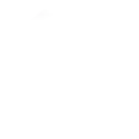Delivery icon